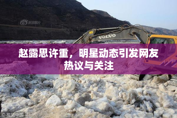 赵露思许重，明星动态引发网友热议与关注