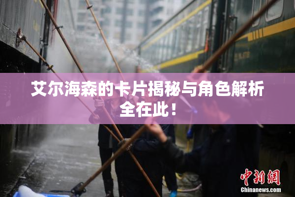 艾尔海森的卡片揭秘与角色解析全在此！
