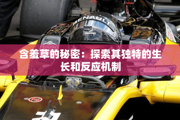 含羞草的秘密：探索其独特的生长和反应机制