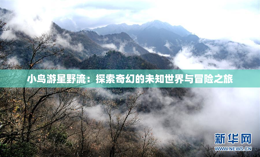 小鸟游星野流：探索奇幻的未知世界与冒险之旅