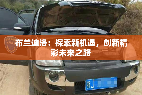 布兰迪洛：探索新机遇，创新精彩未来之路