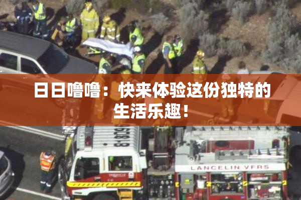日日噜噜：快来体验这份独特的生活乐趣！