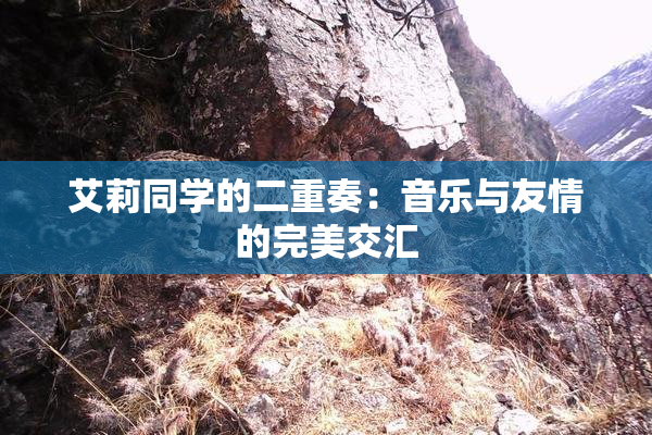 艾莉同学的二重奏：音乐与友情的完美交汇