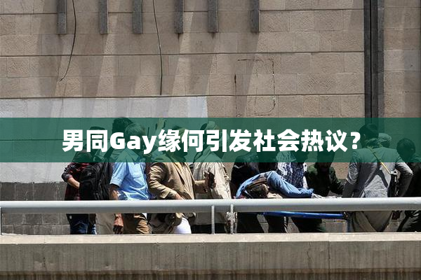 男同Gay缘何引发社会热议？