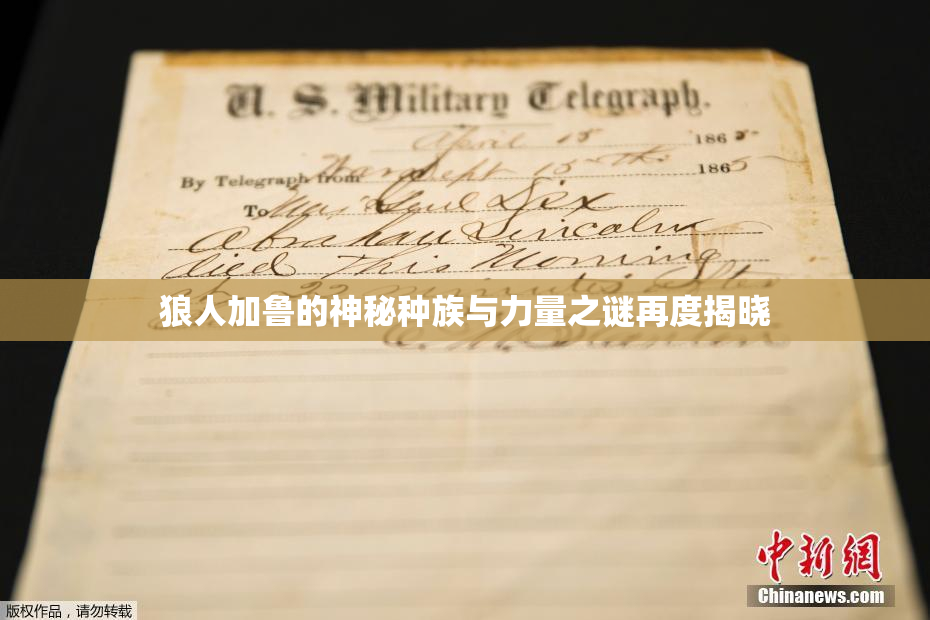 狼人加鲁的神秘种族与力量之谜再度揭晓