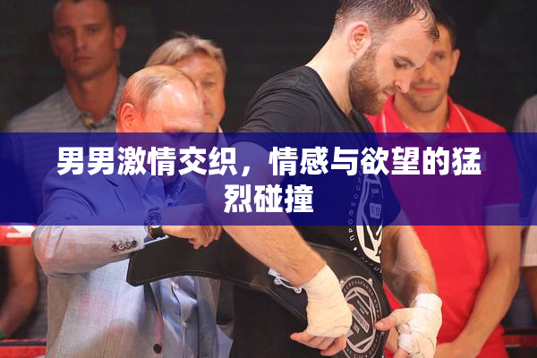 男男激情交织，情感与欲望的猛烈碰撞