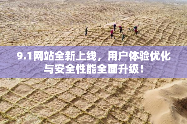 9.1网站全新上线，用户体验优化与安全性能全面升级！