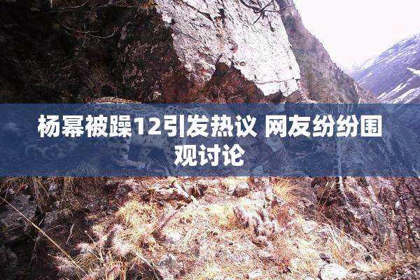 杨幂被躁12引发热议 网友纷纷围观讨论