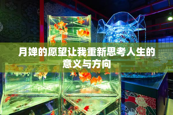 月婵的愿望让我重新思考人生的意义与方向