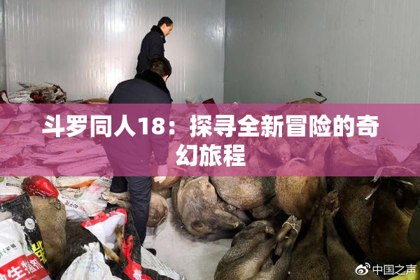 斗罗同人18：探寻全新冒险的奇幻旅程