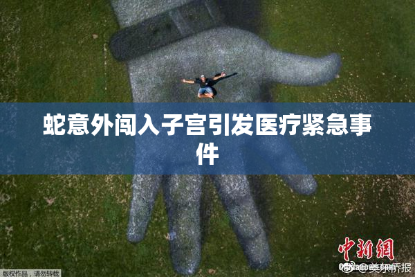 蛇意外闯入子宫引发医疗紧急事件