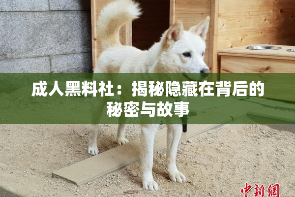 成人黑料社：揭秘隐藏在背后的秘密与故事