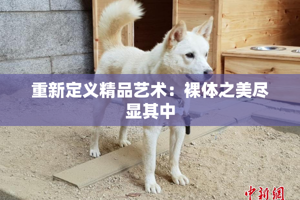 重新定义精品艺术：裸体之美尽显其中