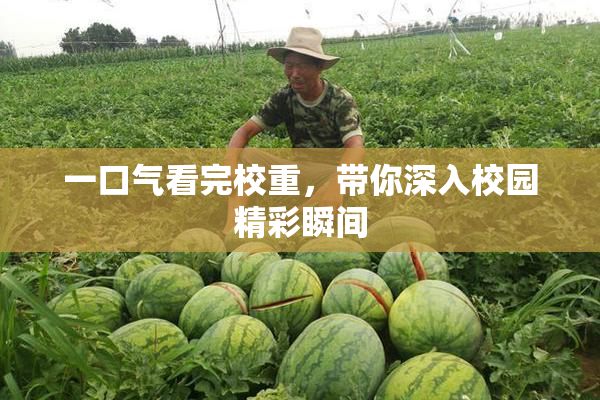 一口气看完校重，带你深入校园精彩瞬间