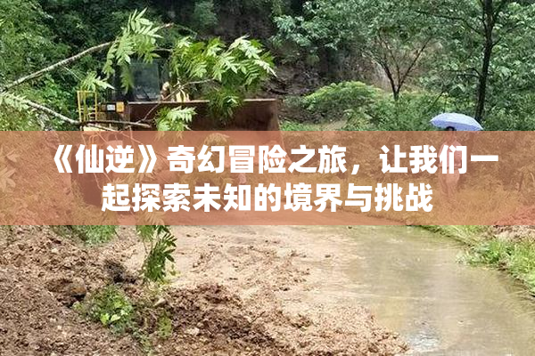 《仙逆》奇幻冒险之旅，让我们一起探索未知的境界与挑战