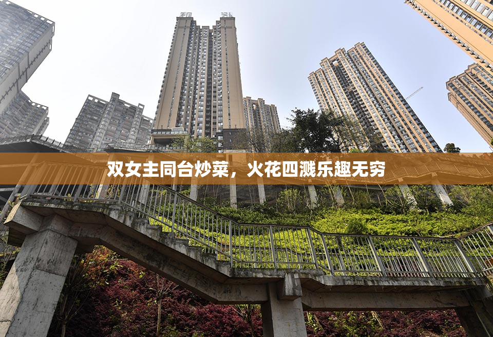 双女主同台炒菜，火花四溅乐趣无穷