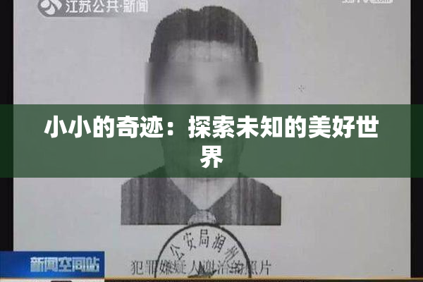 小小的奇迹：探索未知的美好世界