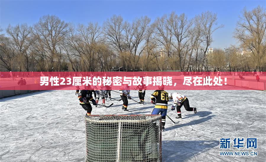 男性23厘米的秘密与故事揭晓，尽在此处！
