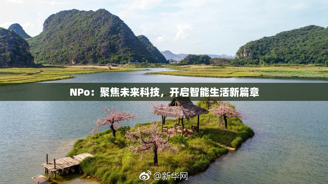ΝPo：聚焦未来科技，开启智能生活新篇章