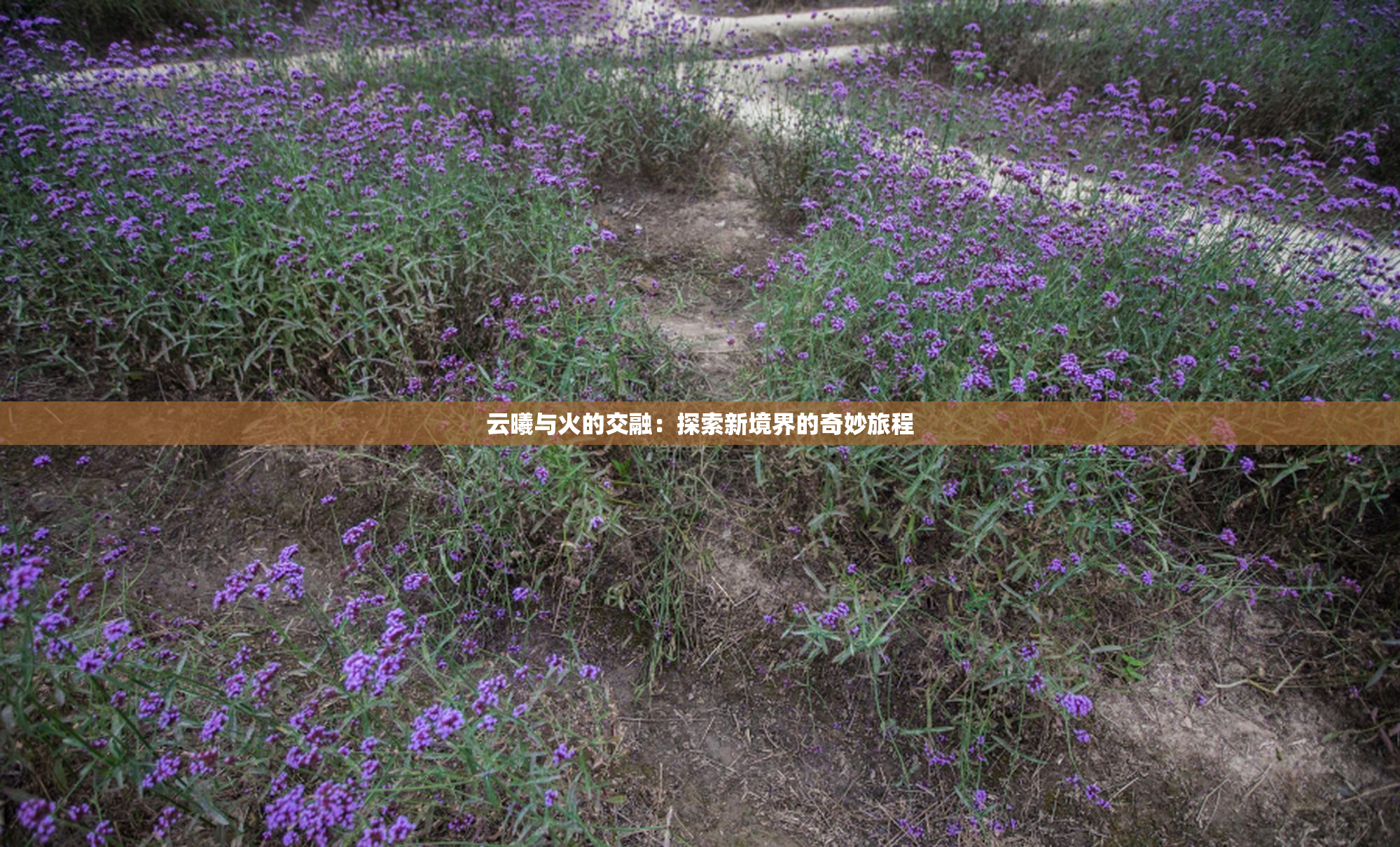 云曦与火的交融：探索新境界的奇妙旅程