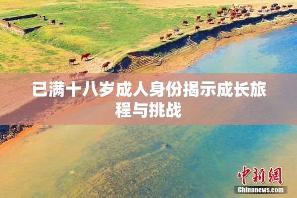 已满十八岁成人身份揭示成长旅程与挑战