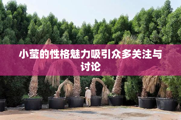 小莹的性格魅力吸引众多关注与讨论