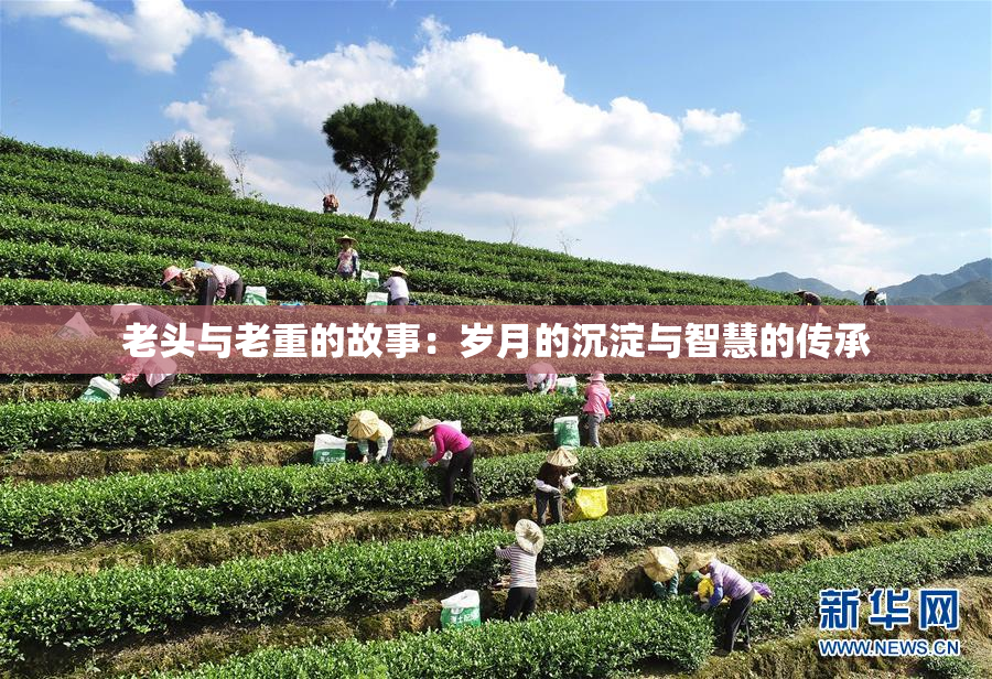 老头与老重的故事：岁月的沉淀与智慧的传承
