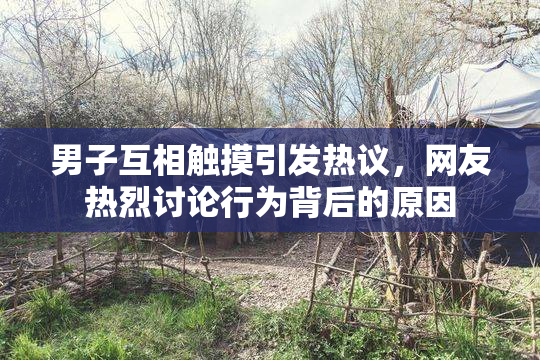 男子互相触摸引发热议，网友热烈讨论行为背后的原因