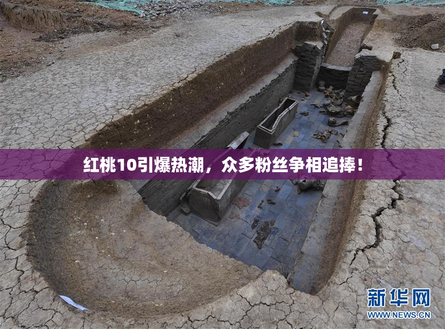 红桃10引爆热潮，众多粉丝争相追捧！