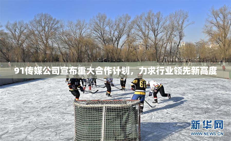 91传媒公司宣布重大合作计划，力求行业领先新高度