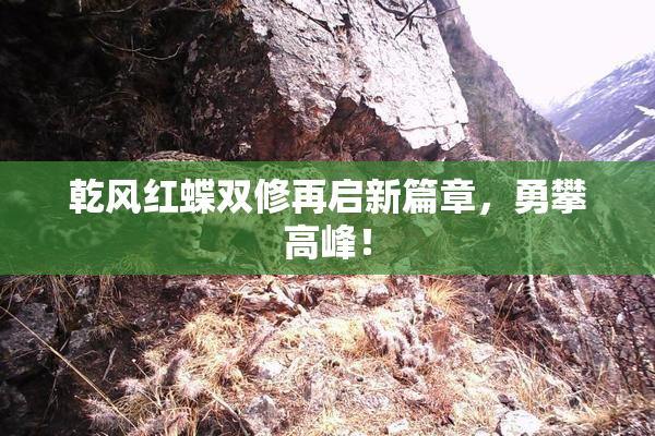 乾风红蝶双修再启新篇章，勇攀高峰！