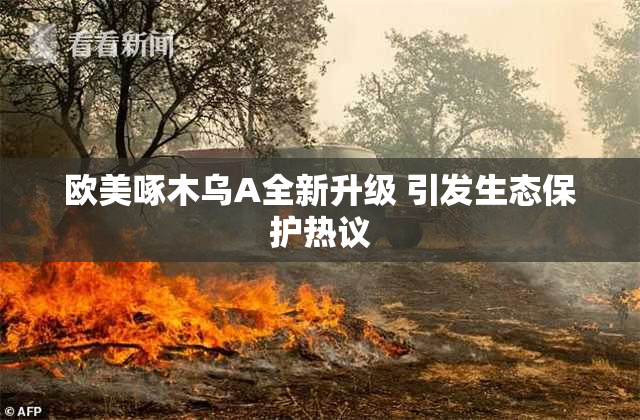 欧美啄木乌A全新升级 引发生态保护热议