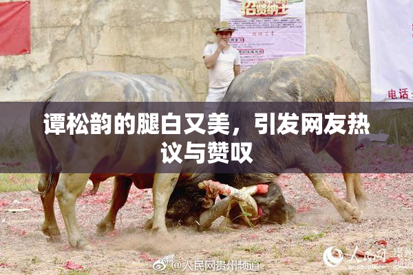 谭松韵的腿白又美，引发网友热议与赞叹