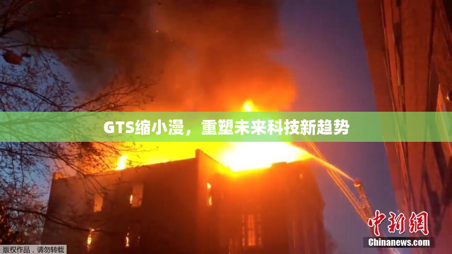 GTS缩小漫，重塑未来科技新趋势