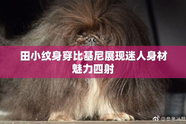 田小纹身穿比基尼展现迷人身材魅力四射