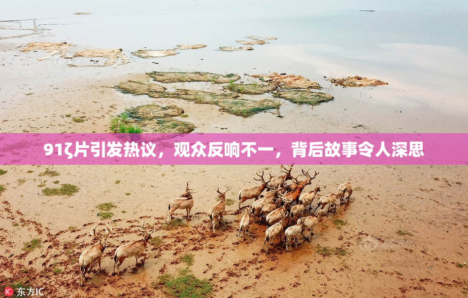 91ζ片引发热议，观众反响不一，背后故事令人深思