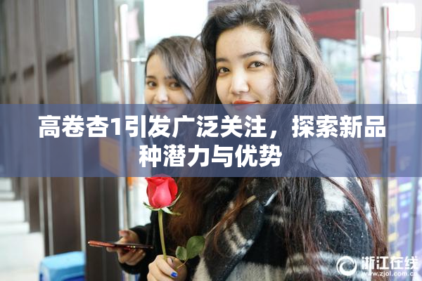 高卷杏1引发广泛关注，探索新品种潜力与优势