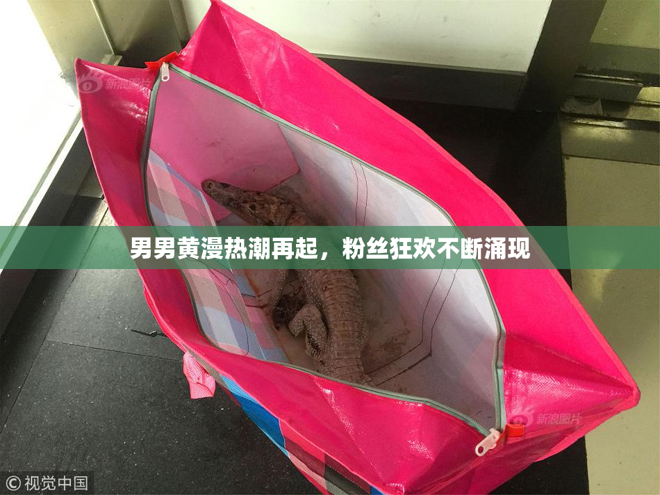 男男黄漫热潮再起，粉丝狂欢不断涌现