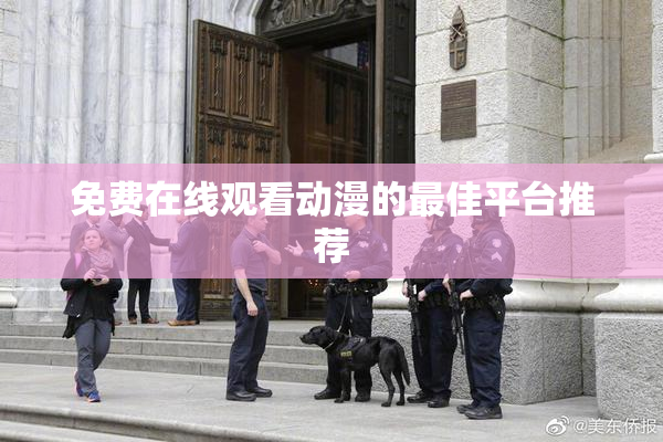 免费在线观看动漫的最佳平台推荐