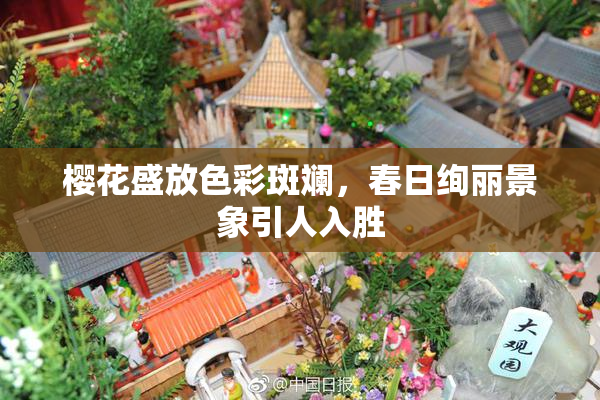 樱花盛放色彩斑斓，春日绚丽景象引人入胜