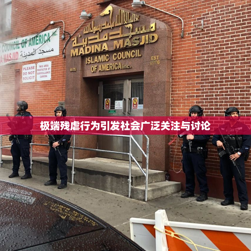 极端残虐行为引发社会广泛关注与讨论