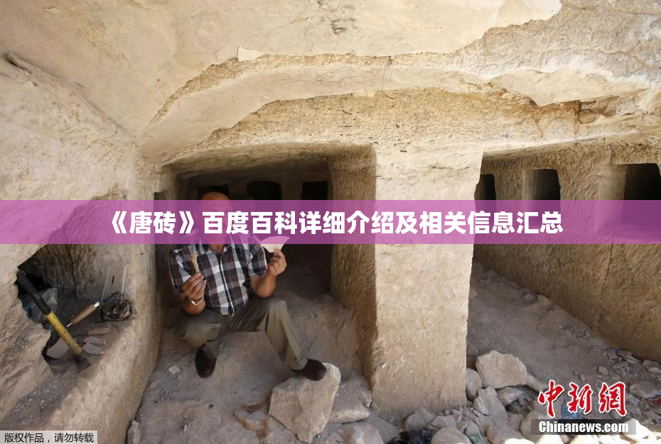 《唐砖》百度百科详细介绍及相关信息汇总