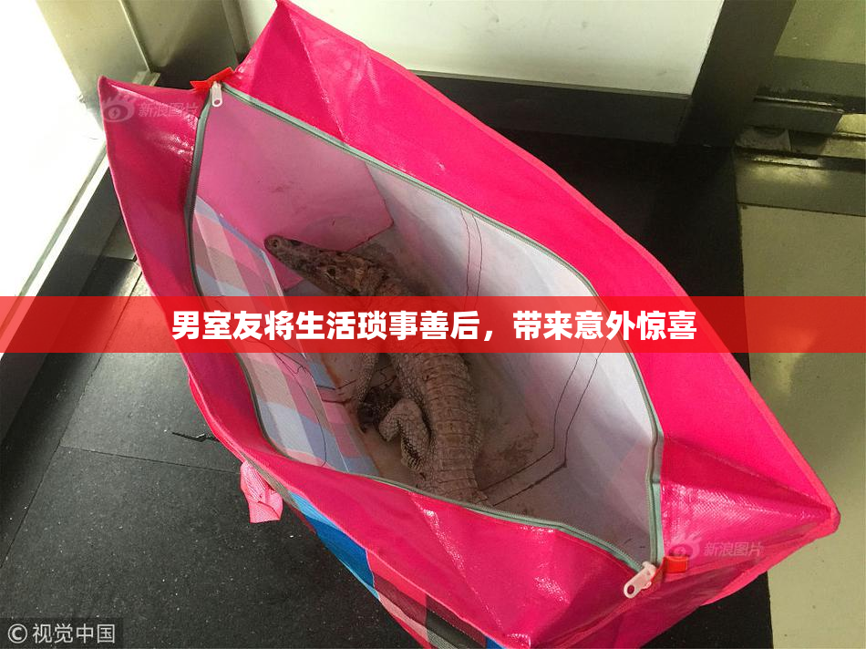 男室友将生活琐事善后，带来意外惊喜