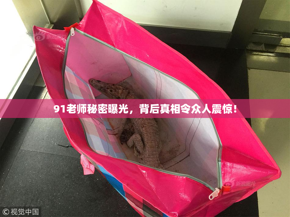 91老师秘密曝光，背后真相令众人震惊！