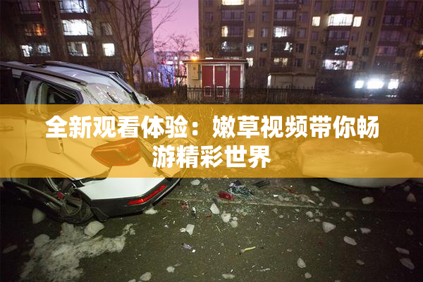 全新观看体验：嫩草视频带你畅游精彩世界