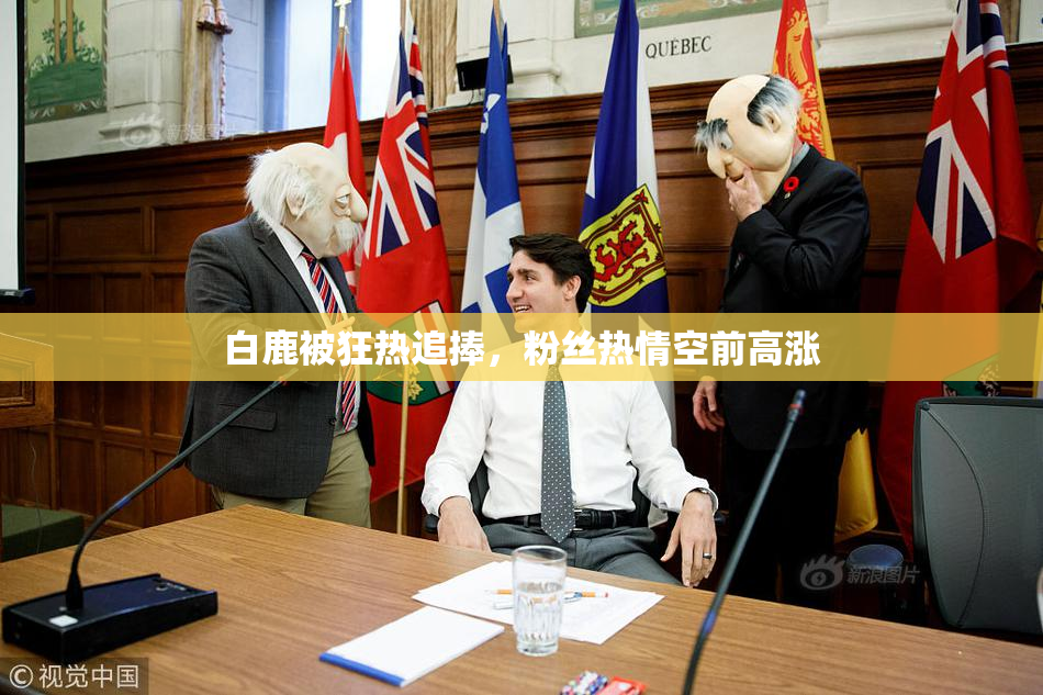 白鹿被狂热追捧，粉丝热情空前高涨
