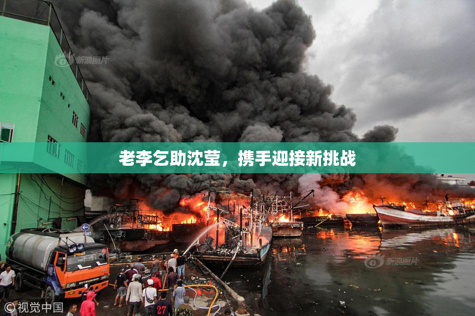 老李乞助沈莹，携手迎接新挑战