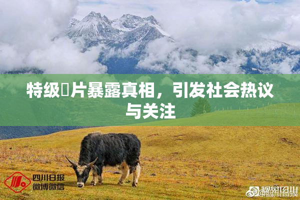 特级婬片暴露真相，引发社会热议与关注