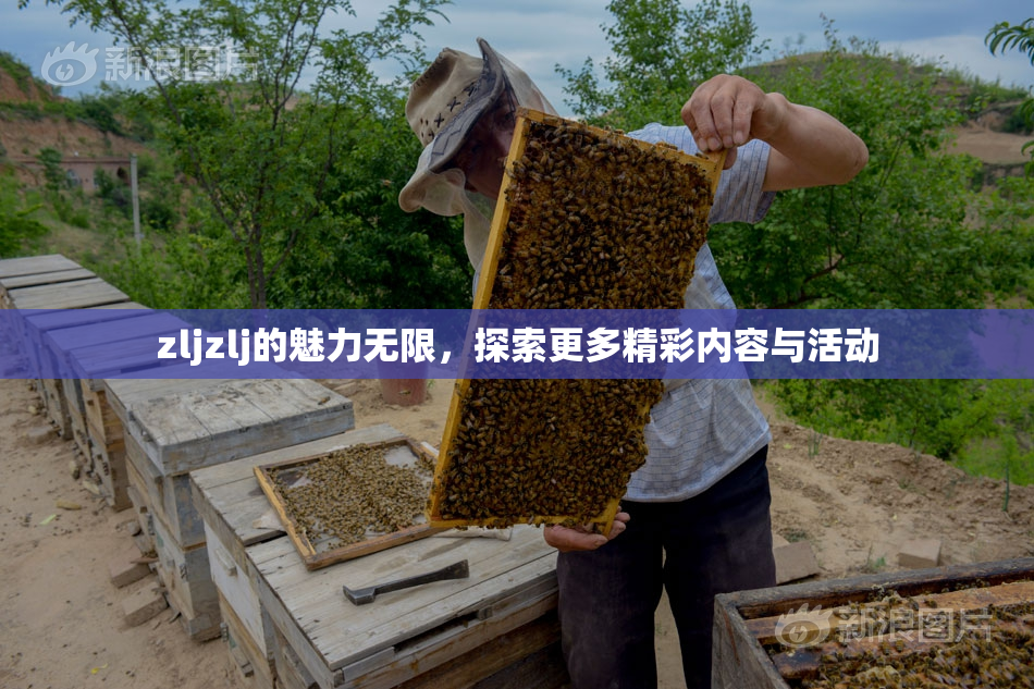 zljzlj的魅力无限，探索更多精彩内容与活动