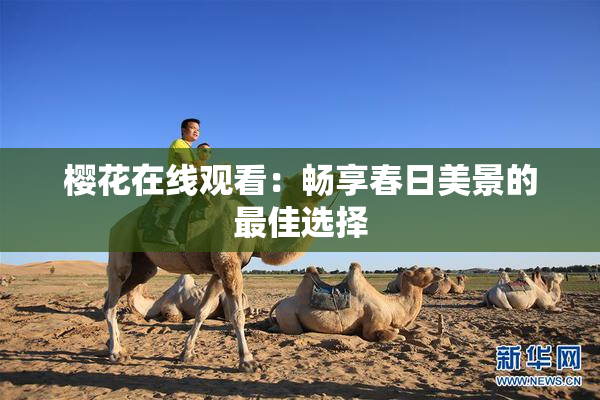 樱花在线观看：畅享春日美景的最佳选择